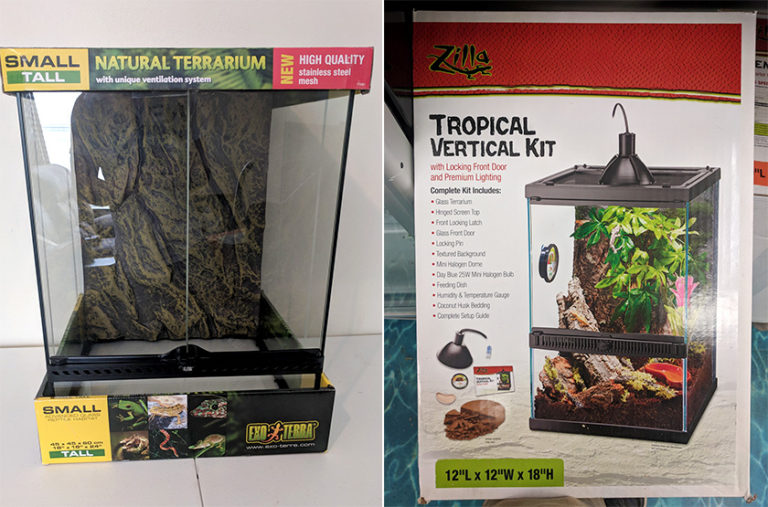 Beginner's Guide to Keeping Frogs as Pets - FrogPets