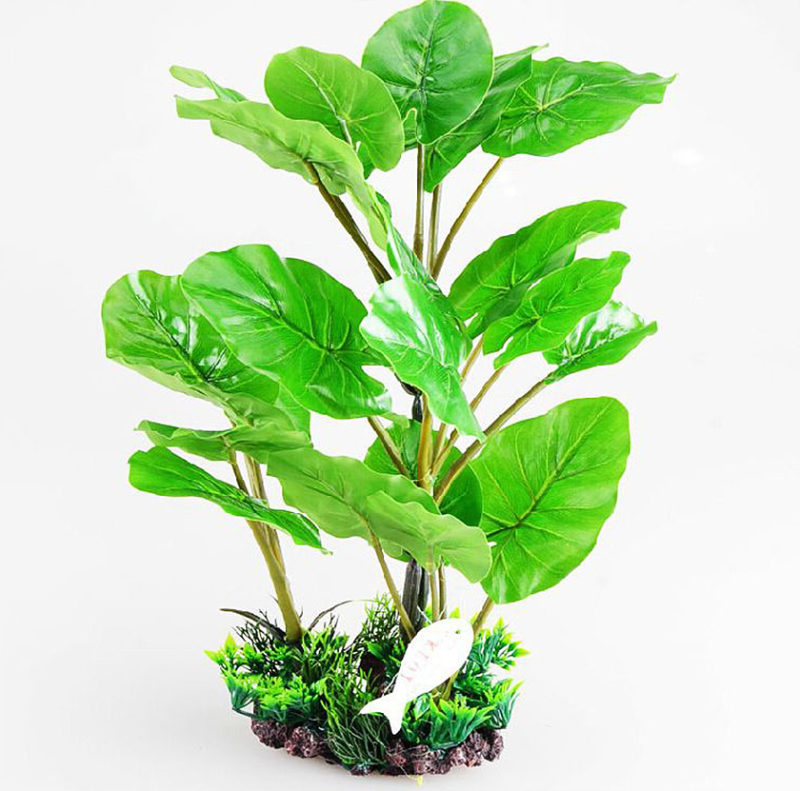 How to Set Up an Aquatic Frog Tank African Dwarf Frogs Frog Pets