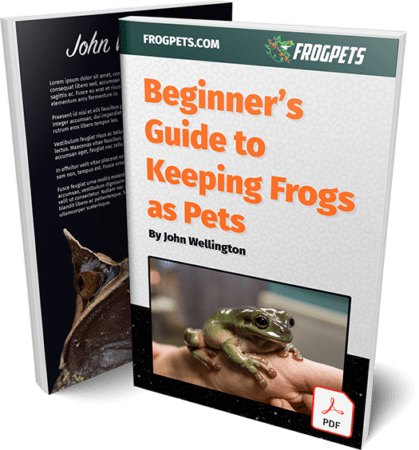 Beginner's Guide PDF Ebook