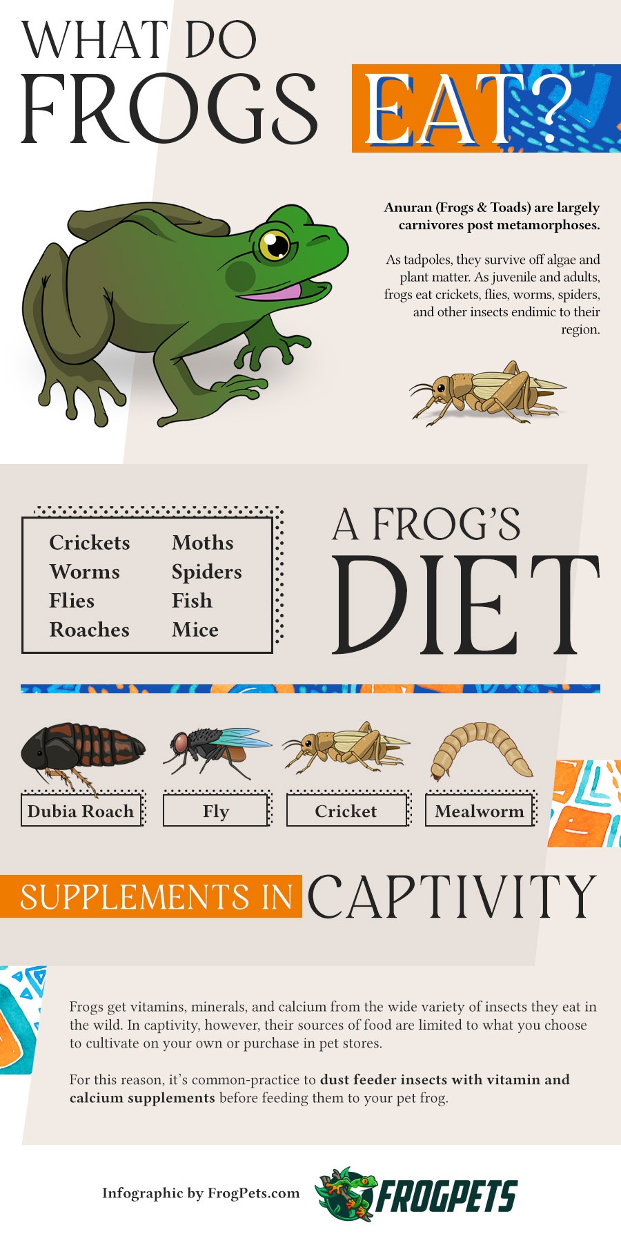 What Do Frogs Eat? Infographic